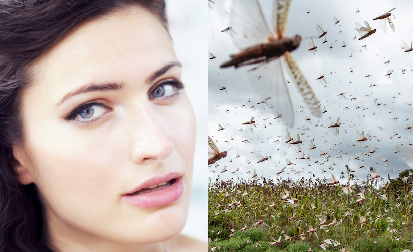 Reductress's tweet photo. 3 Preventative Botox Treatments That Will Do Nothing for When the Locusts Come: https://t.co/Rhadjjut9s https://t.co/ncnuEohcBR