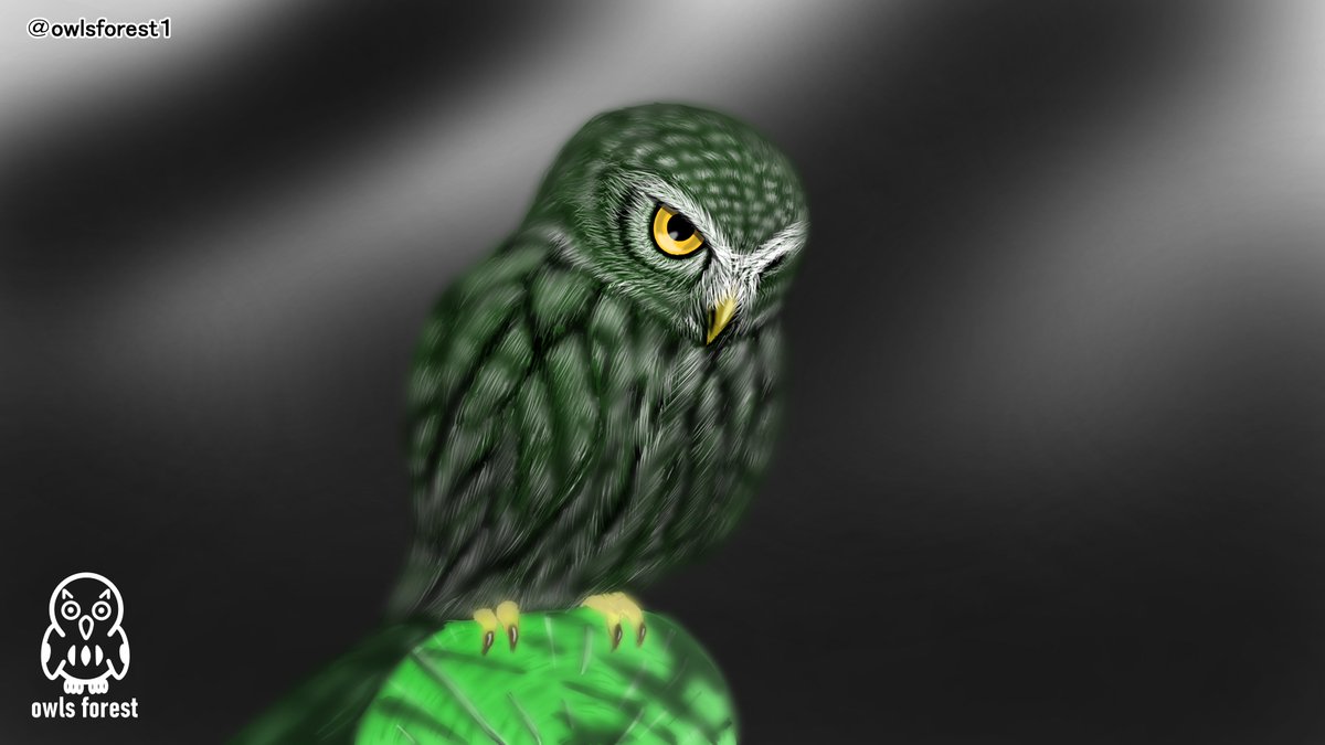 #同じ人が描いたとは思えない絵を貼る 過去に描いた物ですが最近は絵柄も変わって描かなくなりましたね。 皆さん、今日も1日お疲れ様でした。 それではおやすみなさい、良い夢を💤 #イラスト #みんなで楽しむTwitter展覧会 #芸術同盟