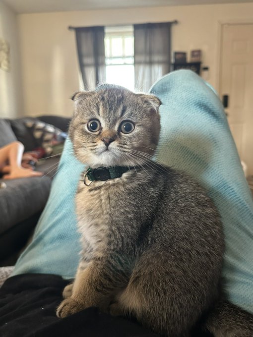 Tell Pablo good morning or you will have 10 years of bad luck. https://t.co/LbG1uXSSR2