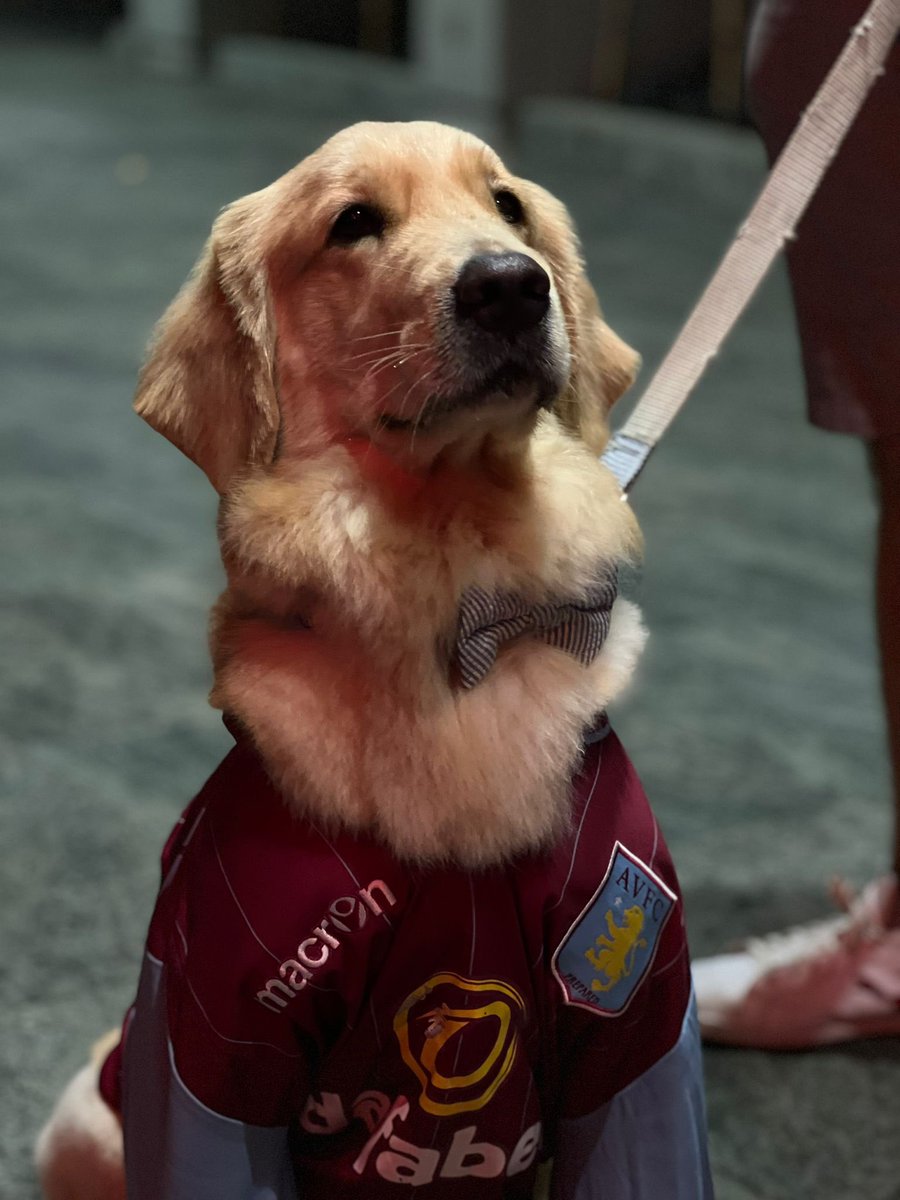 What a game. What a performance. What a turnout for our family day. UTV. <a href="/AVFCOfficial/">Aston Villa</a> #Singapore #villalions