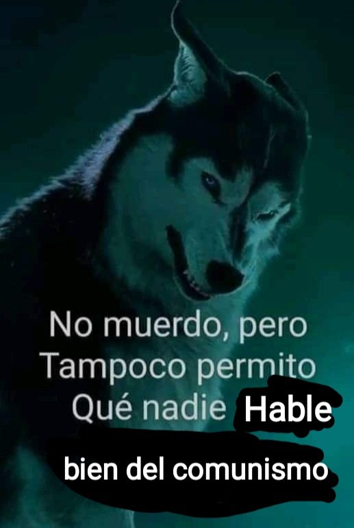 Literalmente yo