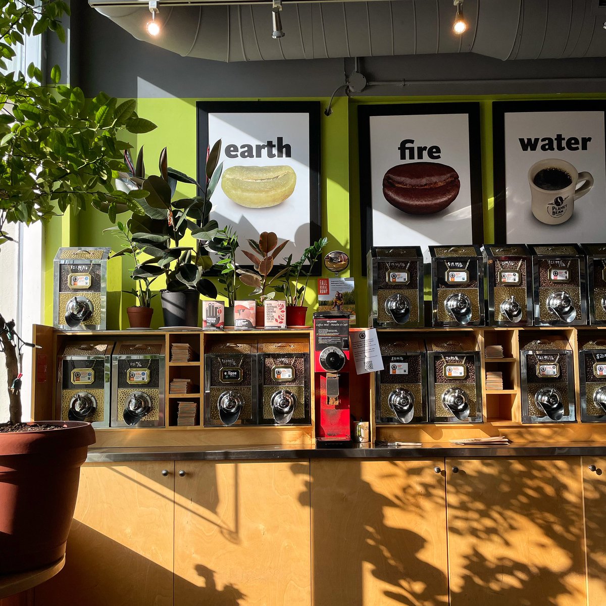 Our Wyndham location gets the BEST sunlight every morning and the plants love it 🌱 

#planetbean #coffee #organic #fairtrade #plants #sunshine #guelph #spring #downtownguelph