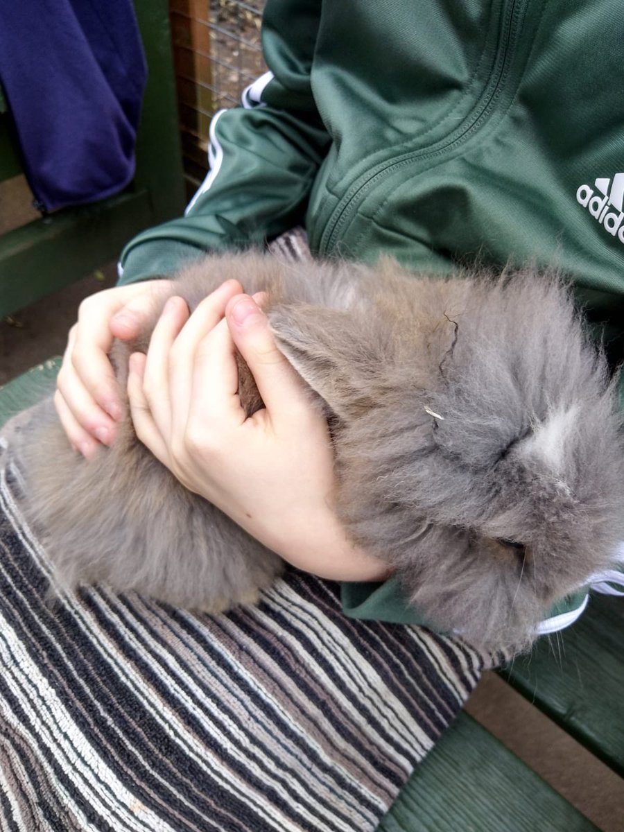 bchdiabetes's tweet photo. Down on the farm with @stpaulstrust and our youth group! Lots of animal care and cuddles. Staff enjoyed it too! #DownOnTheFarm #WarmAndFuzzy #rabbitsaresocute #peersupport #whosealarming #type1together https://t.co/BNv5hw1CaZ