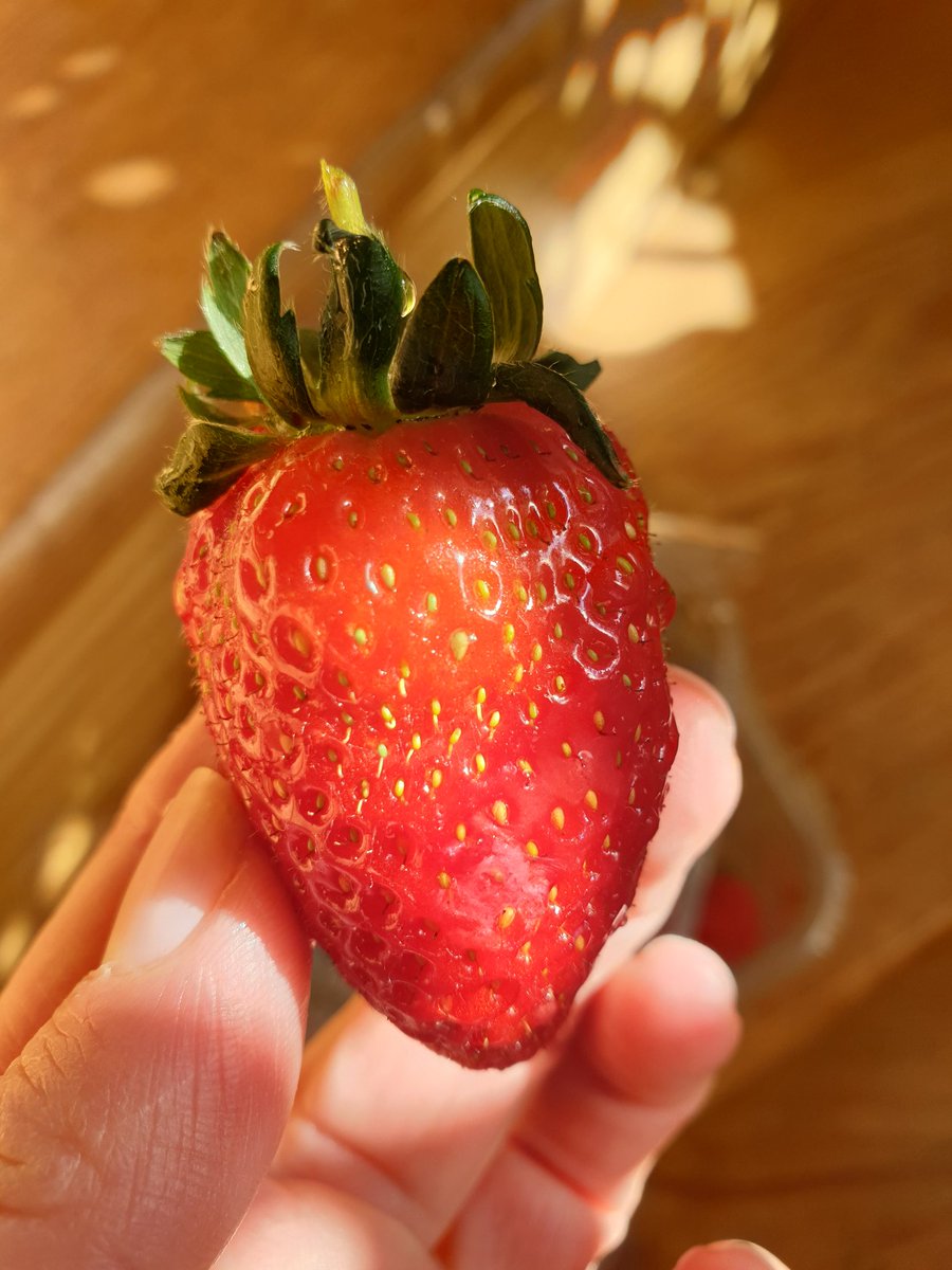 The Scottish Strawberry. Heaven on earth. Back in season. Let the good times roll...my partner literally eats a punnet within the minute. Fortunately we live next to the farm and get a discount!