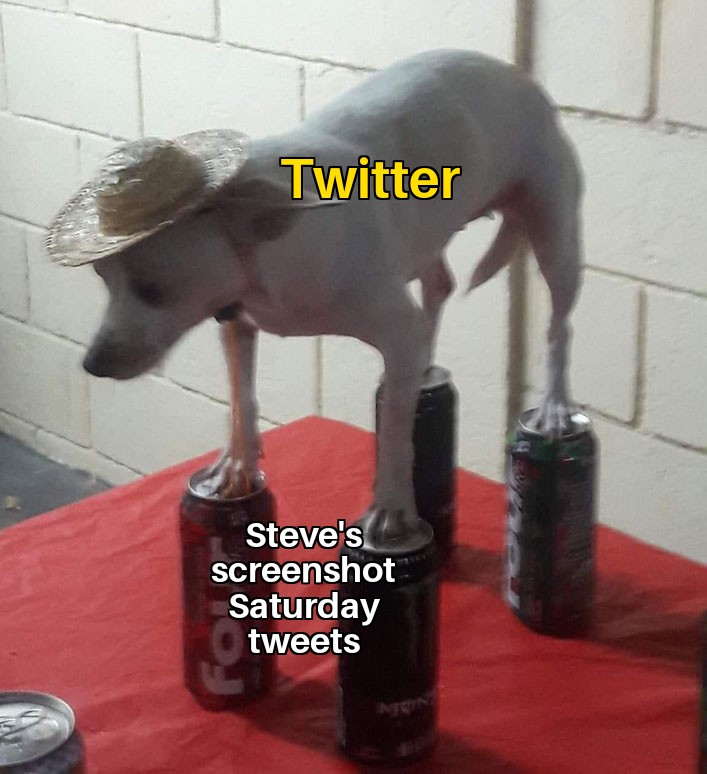 Steven Joseph tweet media