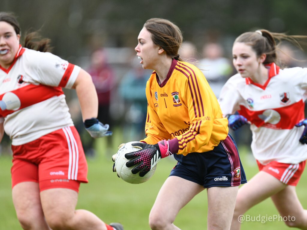 RahenyGAA tweet picture