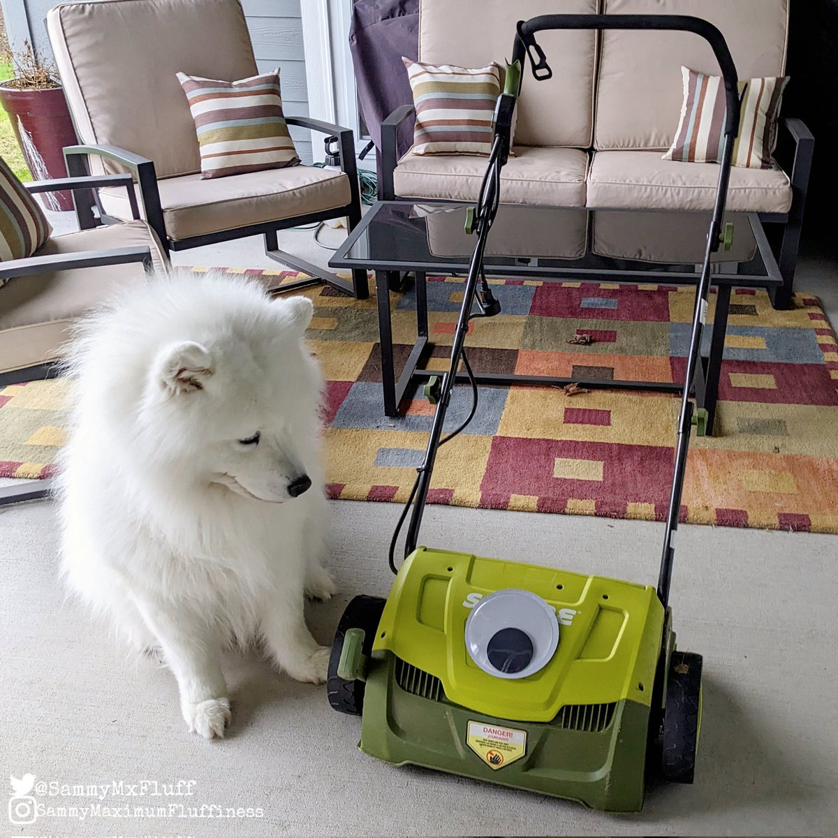 SammyMxFluff's tweet photo. Dad said he was going to use the grass scarifier ๐ Immediately Mom thought of Mike Wazowski the best "Scary-fier" ๐ so she got a googly eye! LOL ๐คฃ๐พ
#disney #monstersinc #mikewazowski #scarifier #sunjoe #funnydog #funnysaturday #doglife #SammyMaximumFluffiness https://t.co/ey1JZgByZ1