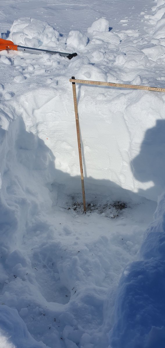 andrei__marin's tweet photo. @CharterArctic colleagues- what hardness index would you say this is? Looks like a 5 to me 😄. Always blown away by how much variability there is within small distance (similar topography)- here 70 cm depth difference 600 m inbetween sites. #Finnmark #snowpit https://t.co/kYNOKWQR4q