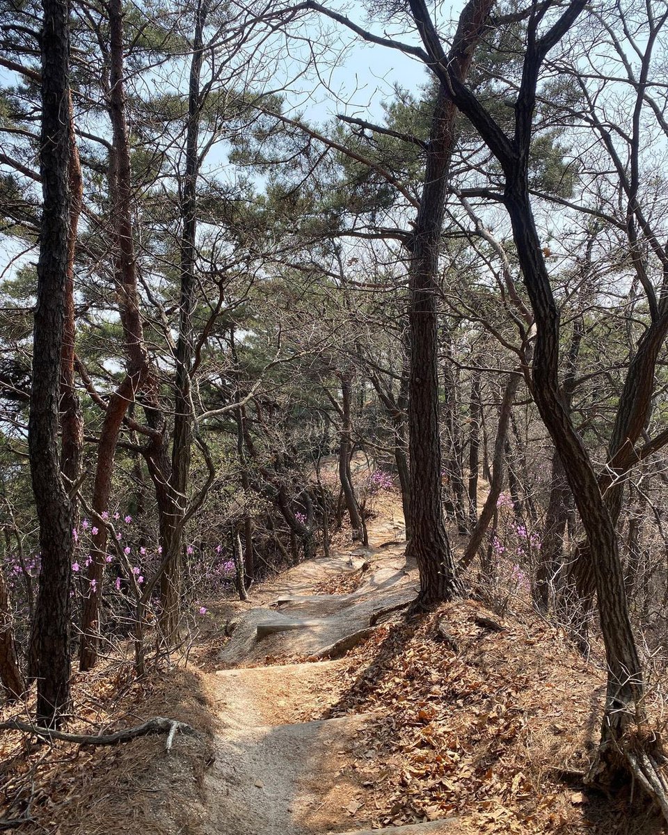 tiny__sae's tweet photo. anddd some landscapes too ! who else cheered https://t.co/1jKNRPHmSa