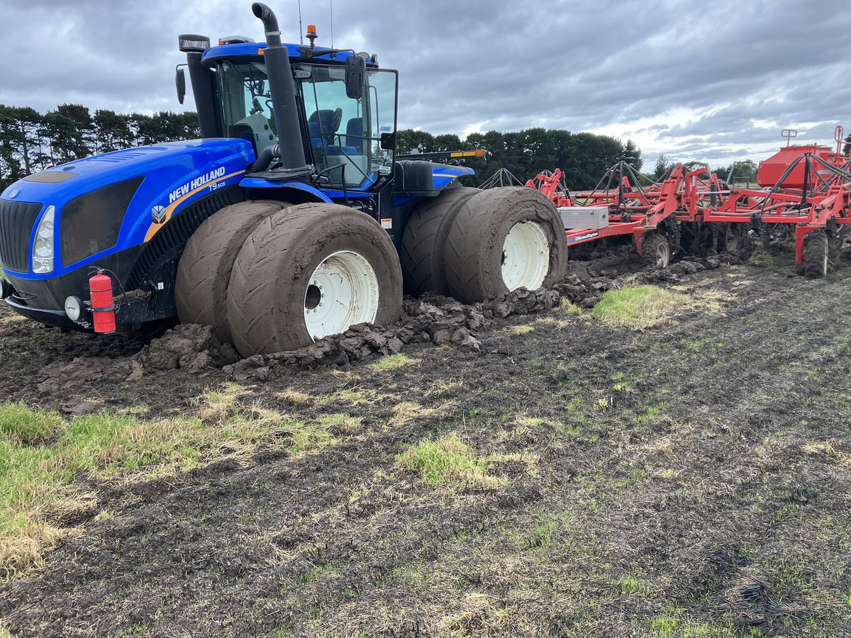 Stew hamilton tweet media