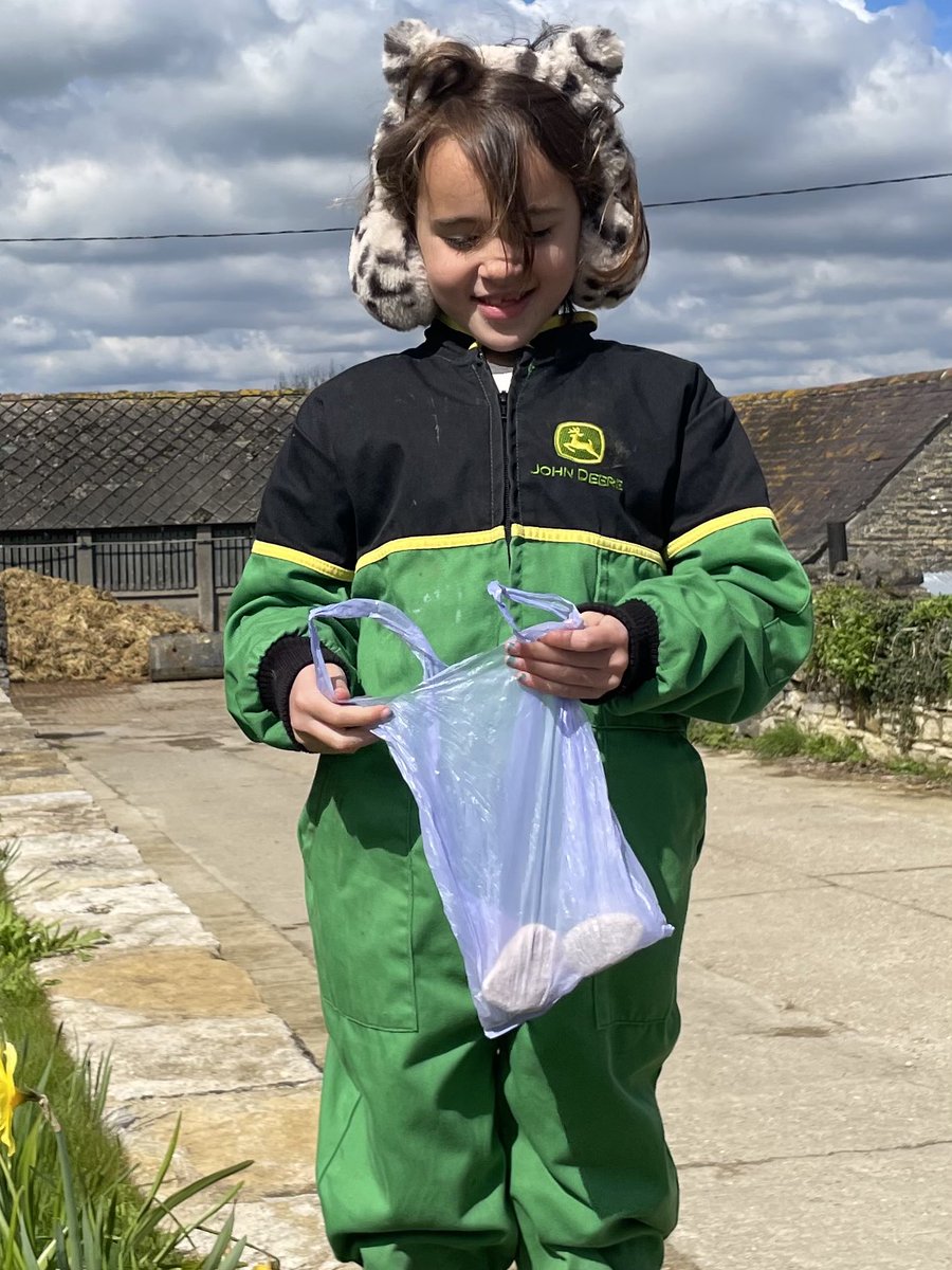 Every farmer needs tiger earmuffs