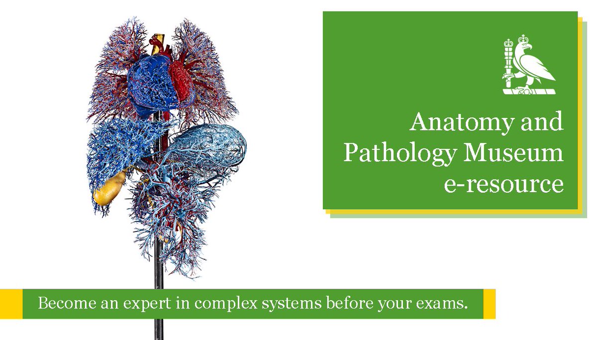 The Royal College of Surgeons of England tweet media