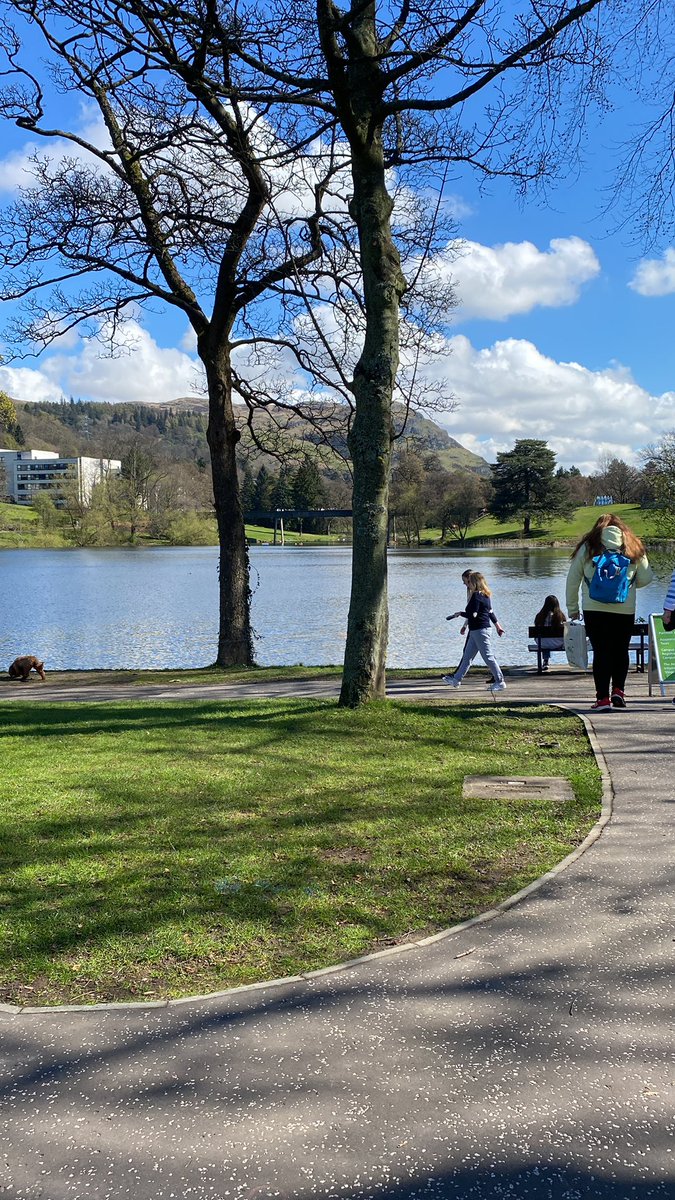 Dr Gwenne McIntosh (@gwennemcintosh) on Twitter photo Wanting to study Mental Health Nursing or Adult Nursing? Why <a href="/StirUni/">University of Stirling</a> ? Why not! Look 👀 at this place 💜 Applicant day today on campus. ♥️ Wanting to study Mental Health Nursing or Adult Nursing? Why <a href="/StirUni/">University of Stirling</a> ? Why not! Look 👀 at this place 💜 Applicant day today on campus. ♥️
