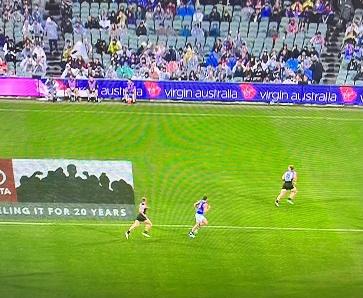 Marty Fields tweet media