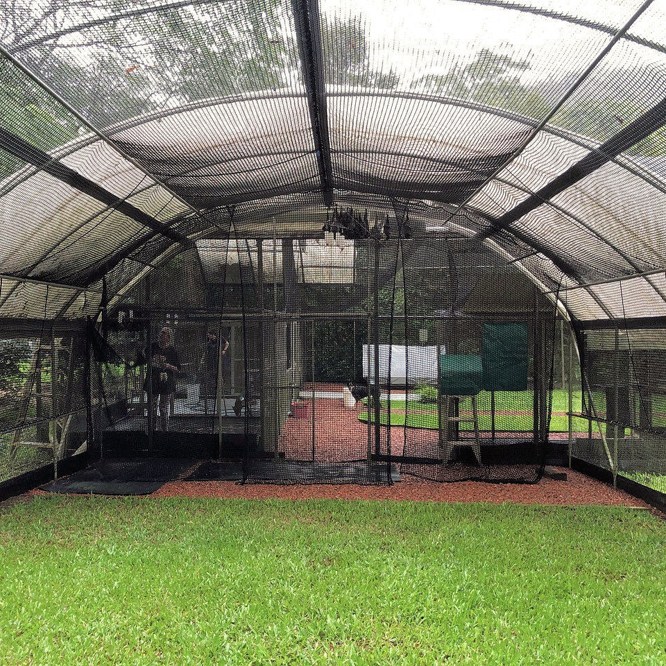 5WFoundation's tweet photo. At @TolgaBatHospital (IG) #SpectacledFlyingFox patients need protection and care.
This is the cage we use for the juveniles learning to fly before we release them.
We've almost finished this year's #conservation release of 180 saved #endangered Foxes back into the forests! https://t.co/Y0EuvVS9Ue