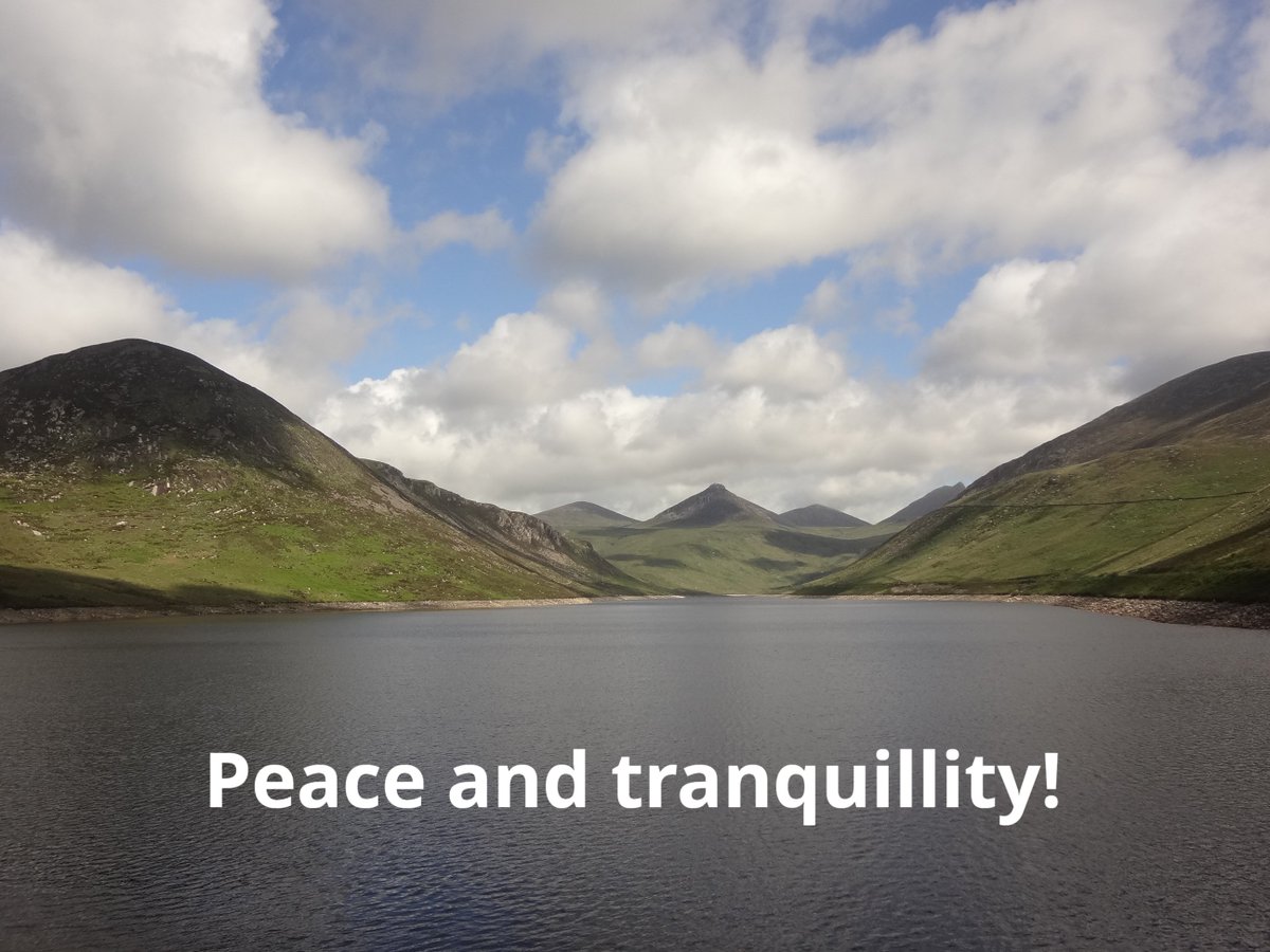 The Mourne Lodge tweet media