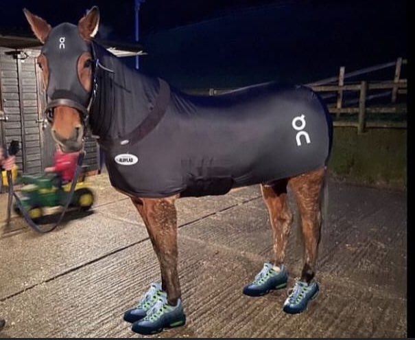 NedTheRed tweet media