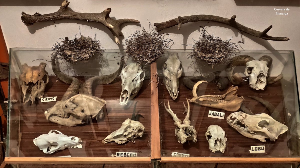 Cervera de Pisuerga tweet media