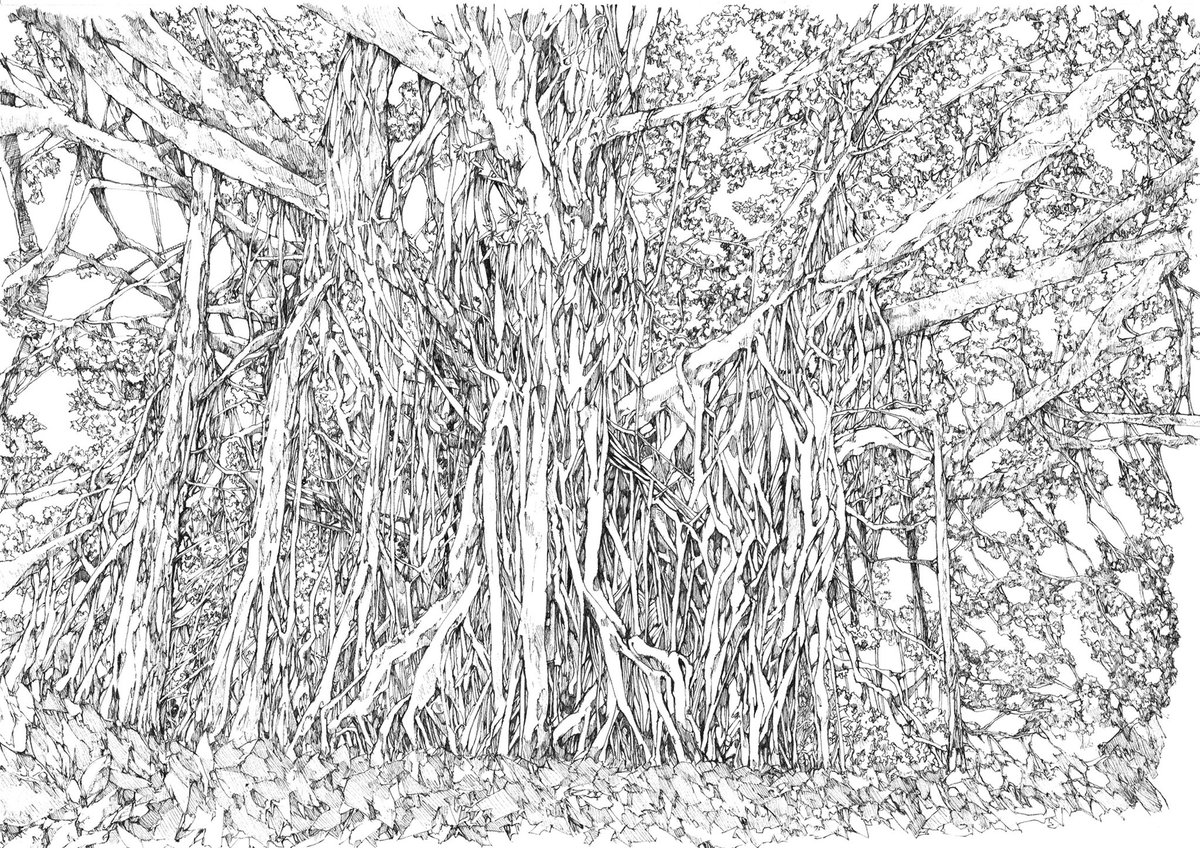 軽バズしてるので宣伝をば
こういう絵を描いてます。
原画とか販売してるのでよかったら見てみてください・・・!
https://t.co/0QFJYswsdf 