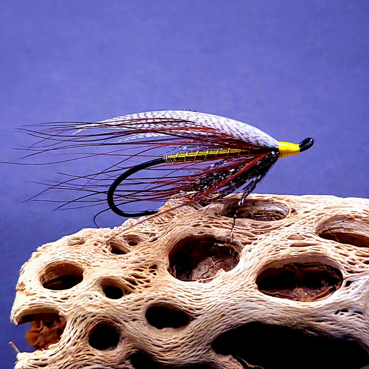 TheFlyOhioans's tweet photo. First attempt at a mallard roof.  Very stressful 😂
@ahrexhooks HR410 1/0
#flytyingporn #flytyingnation #flytyingaddict #thetugisthedrug  #tyingflies #flyfishing #flyfishingjunkie #troutbum #flytying #streamers #speyflies #spey #speyflytying #speyfishing #ahrexhooks #semperfli https://t.co/oqEXvxwGjO
