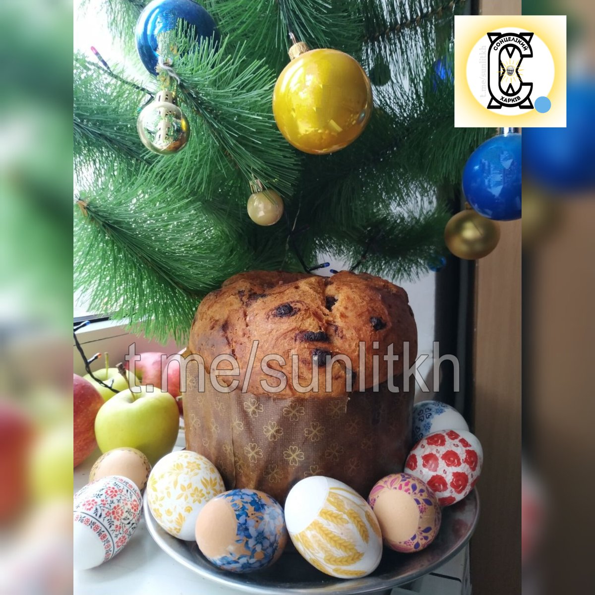 Sunlitkh's tweet image. ✅ Кароч, Христос воскресе

С новым годом и всё такое.