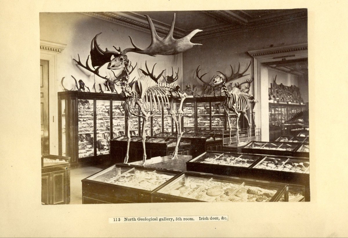 Frannabel2010's tweet photo. #Archive30 #ArchiveMisconceptions It’s a common misconception that @britishmuseum #archive holds the departmental records relating to the @britishlibrary & @NHM_London collections - understandable though, as both collections began at #BritishMuseum ! #exploreyourarchive https://t.co/nfs7dyr5Iz