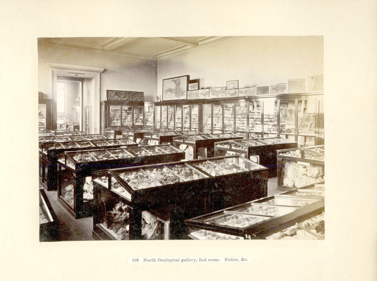 Frannabel2010's tweet photo. #Archive30 #ArchiveMisconceptions It’s a common misconception that @britishmuseum #archive holds the departmental records relating to the @britishlibrary & @NHM_London collections - understandable though, as both collections began at #BritishMuseum ! #exploreyourarchive https://t.co/nfs7dyr5Iz