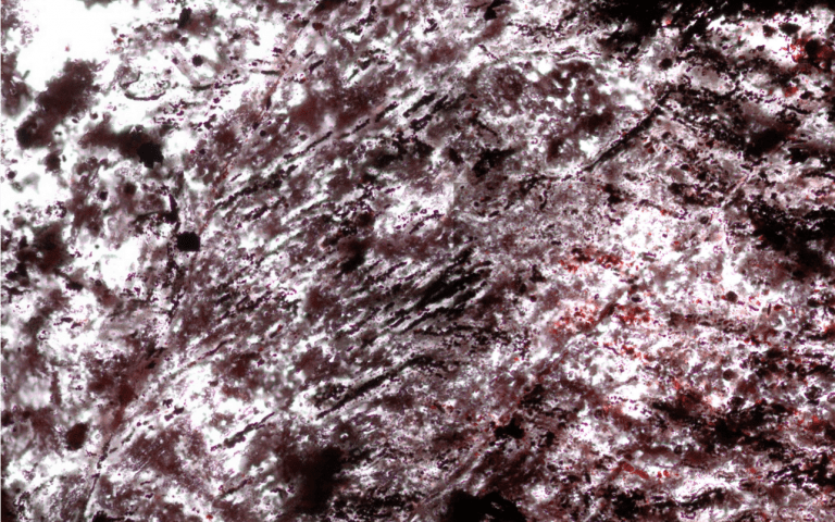 UnvrsoRecondito's tweet photo. LA VIDA PODRÍA SER COMÚN EN EL UNIVERSO

Investigadores descubrieron lo que pueden ser las primeras formas de vida fosilizadas jamás encontradas. Estos microbios vivieron hace entre 3.750 y 4.280 millones de años ¡Sólo 300 millones de años después de que se formara la Tierra! https://t.co/JqMXMKvF0l