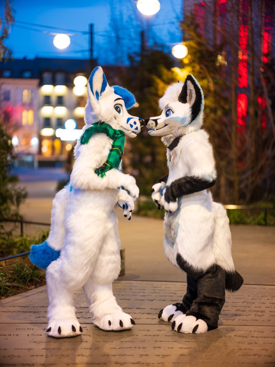 Boop da snoot?
Boop da snoot!
🦊💙🦊
📷 @CaptainChaotika #NFC2023