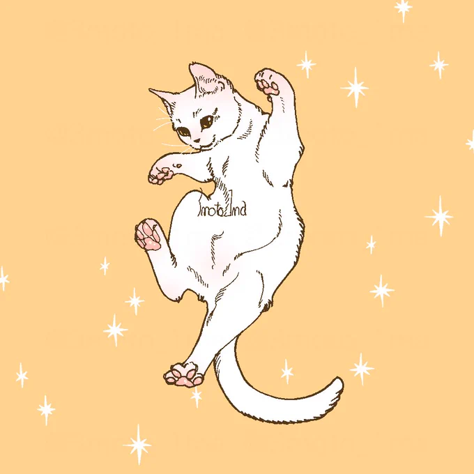 ねっこ! 