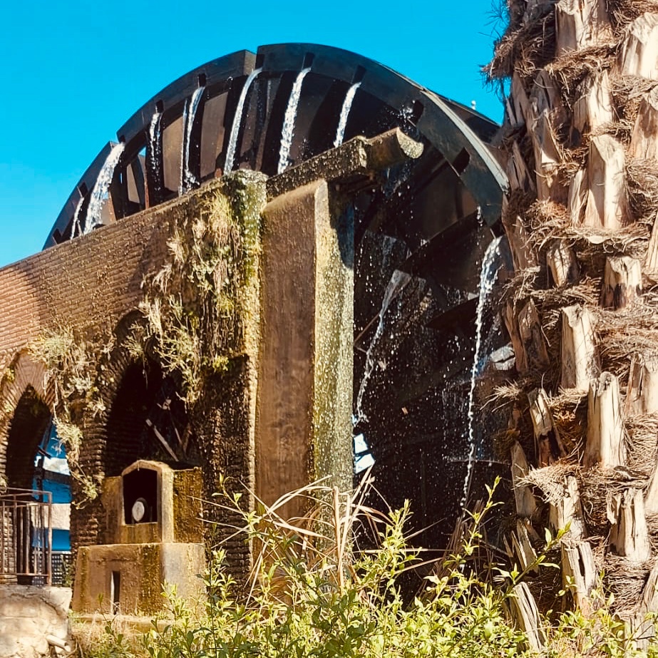 AFAMUR's tweet image. El miércoles hicimos una visita al Museo de la Huerta en Alcantarilla, espectacular el rato que pasamos!!

👇🏻👇🏻👇🏻👇🏻👇🏻👇🏻👇🏻👇🏻👇🏻👇🏻👇🏻👇🏻

instagram.com/reel/CrBVlSmpU…