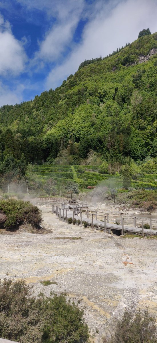 rsgeography's tweet photo. Day 3 in the Azores - Visiting Furnas lake and fumeroles https://t.co/81K6q1VvK3
