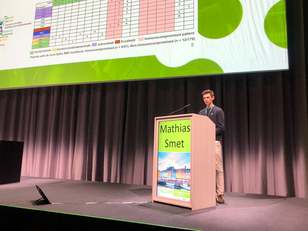 orchestracohort's tweet photo. Mathias Smet, @UAntwerpen, talking at #ECCMID2023 about "Mutations in SARS-CoV-2 genomes in COVID-19 patients receiving monoclonal antibody treatments".  High mutational homogeneity identified in Spike RBD between patients of the same treatment group. #COVID19 #virusmutations https://t.co/gD2xVGl5q5