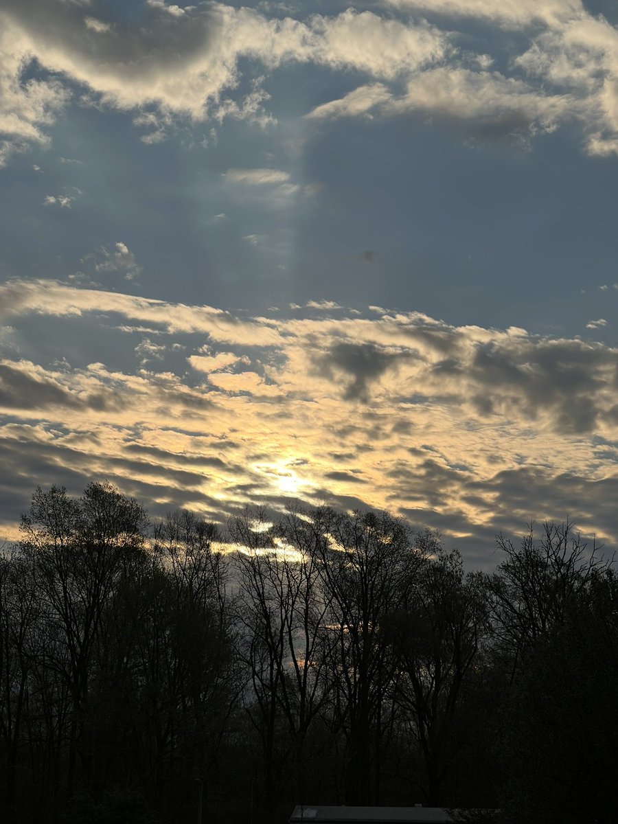 Good Morning ☀️ ☕️