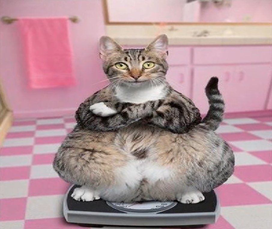 simi🍒 tweet media