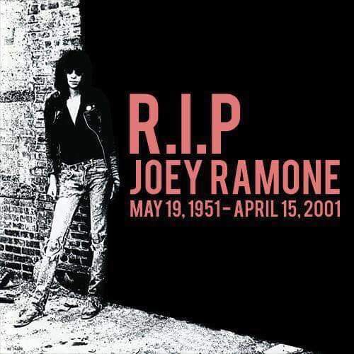 AlLucard225's tweet photo. Gabba Gabba Hey!
#JoeyRamone #Ramones #punkrock #punkrawk https://t.co/Kzhj1Zw6yK