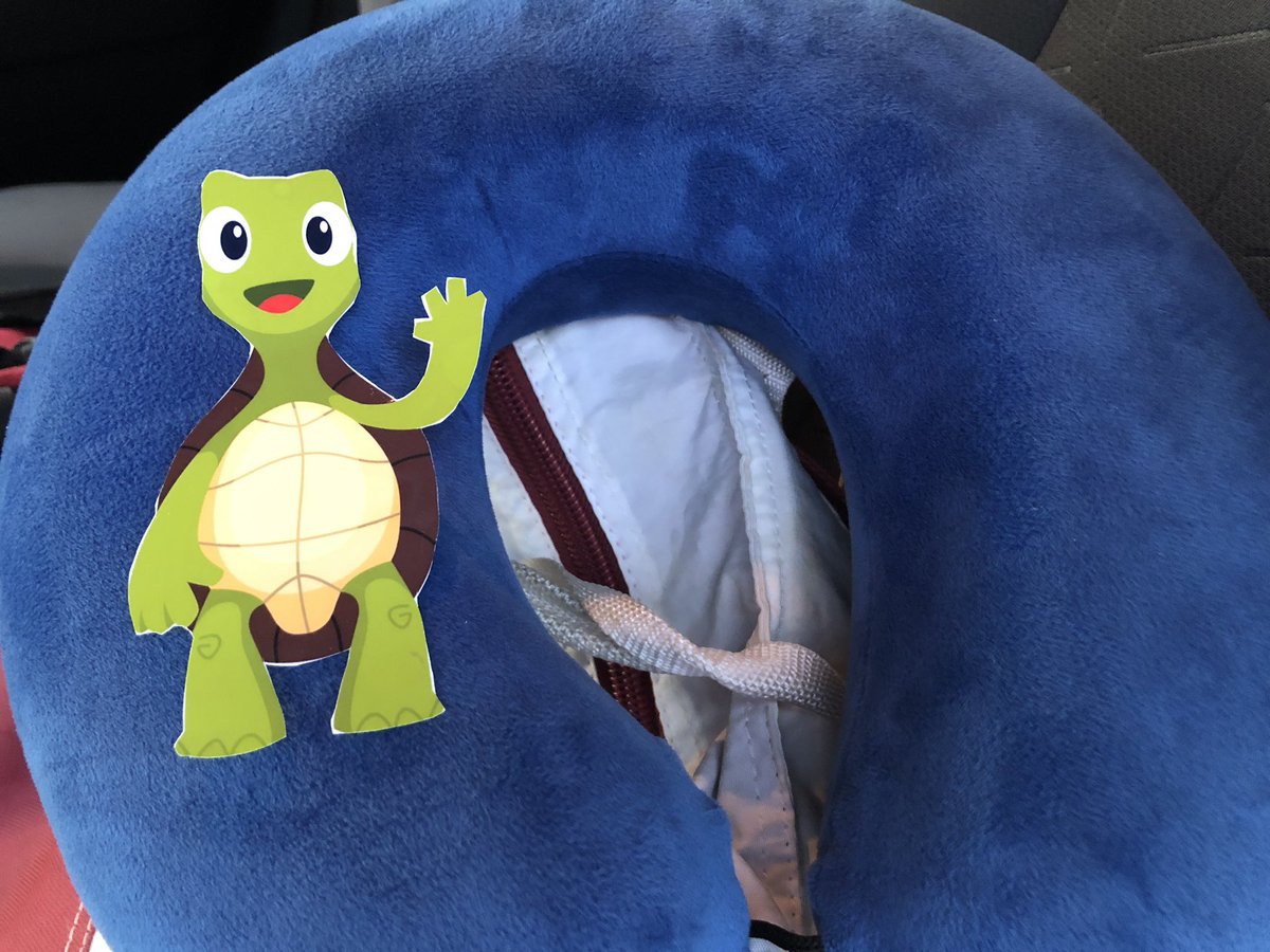 Pyramid802's tweet photo. Tucker is saying goodbye after an fully packed #NTI2023. He's ready for the road trip home! #P802PandTucker https://t.co/8ppmnc4t8M