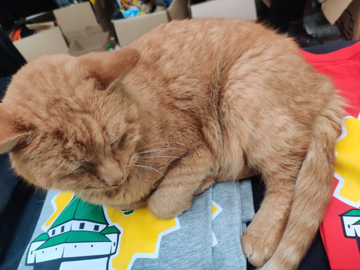 linuxtage's tweet photo. Gibt es nächstes Jahr ein Rebranding zu den Grazer Catdays? #glt23 https://t.co/bkbjZR2PR0