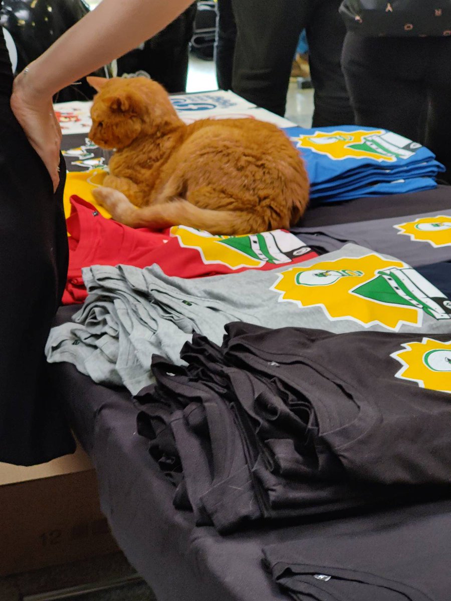 linuxtage's tweet photo. Gibt es nächstes Jahr ein Rebranding zu den Grazer Catdays? #glt23 https://t.co/bkbjZR2PR0