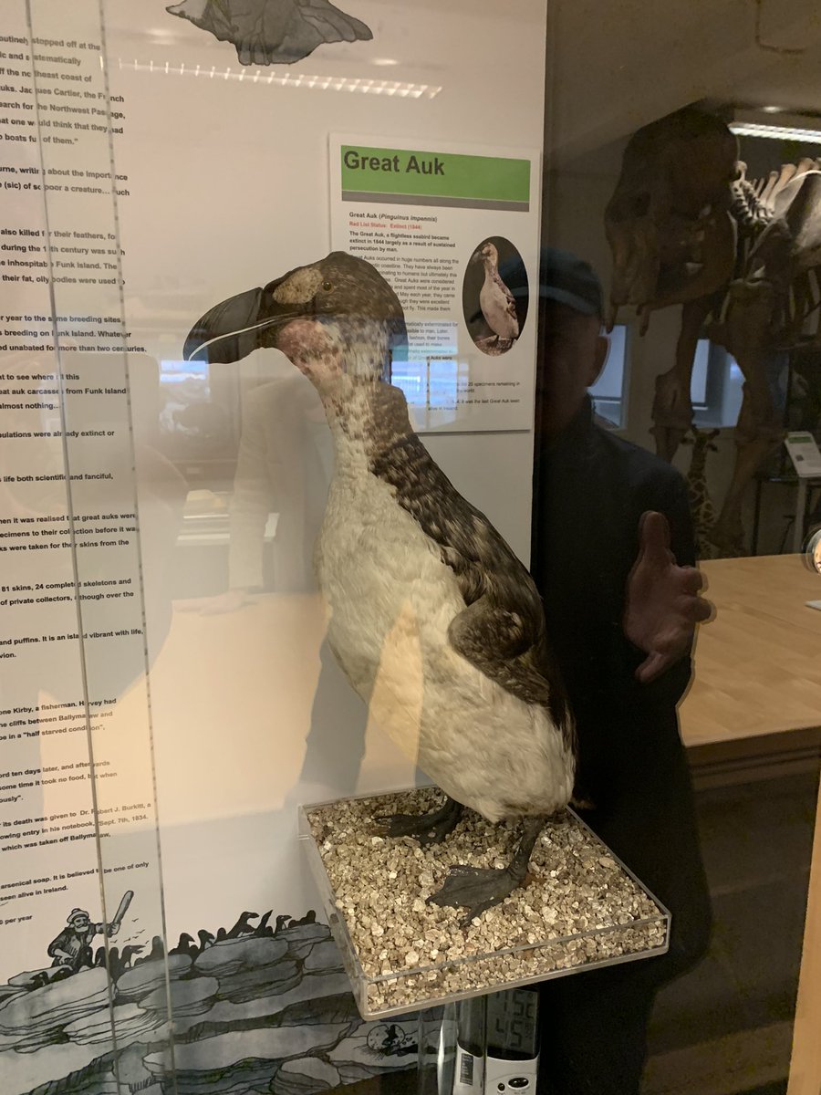 Nicholas Dulvy tweet media