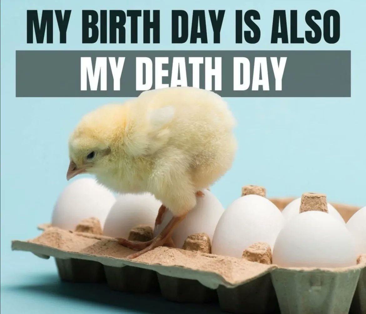 John Oberg tweet media