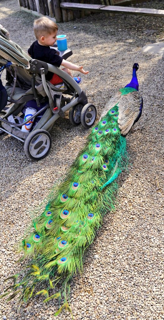 Rachel Clark tweet media