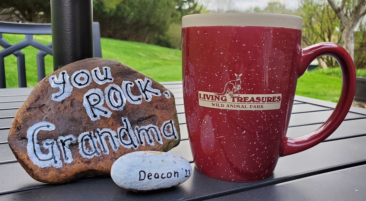 Rachel Clark tweet media