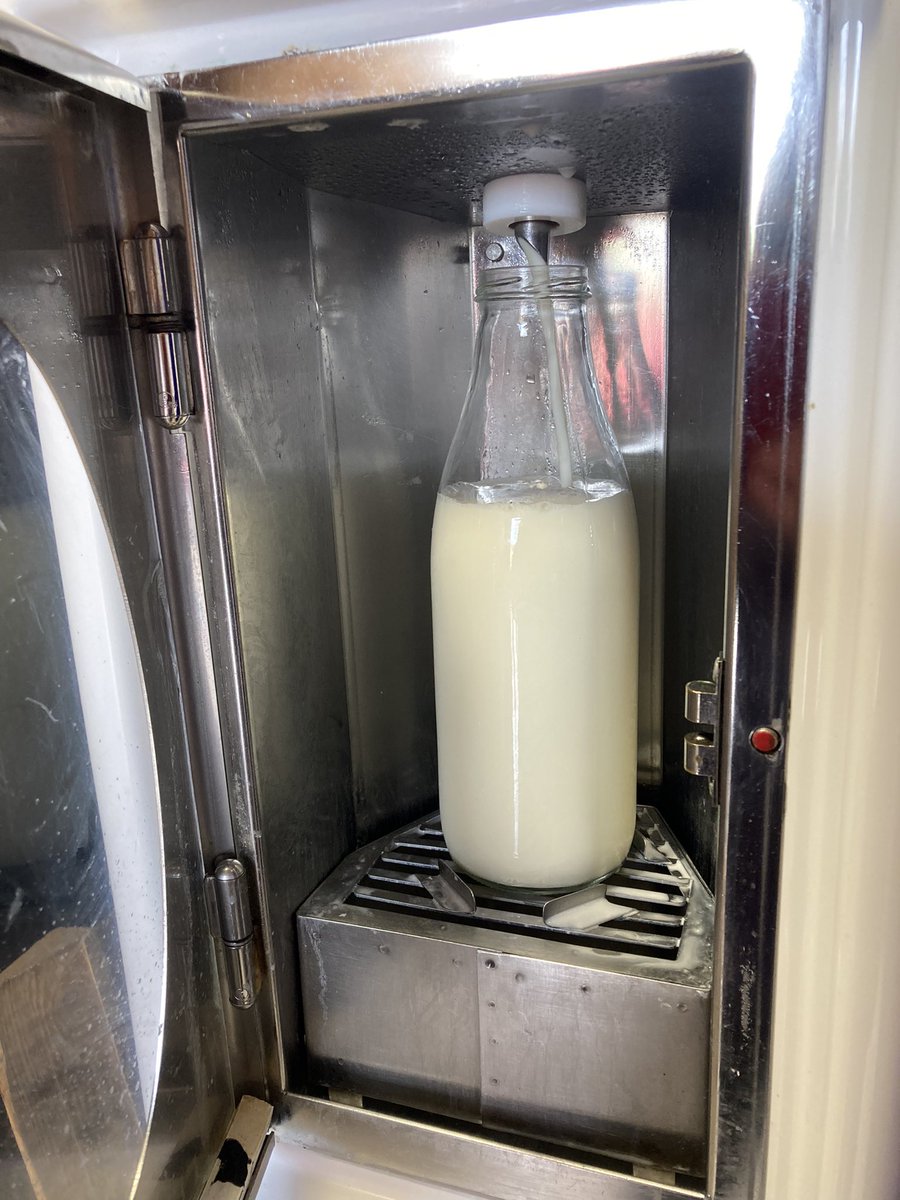 Little Stour Orchard 🍃💚🦇🦎🍃 tweet media