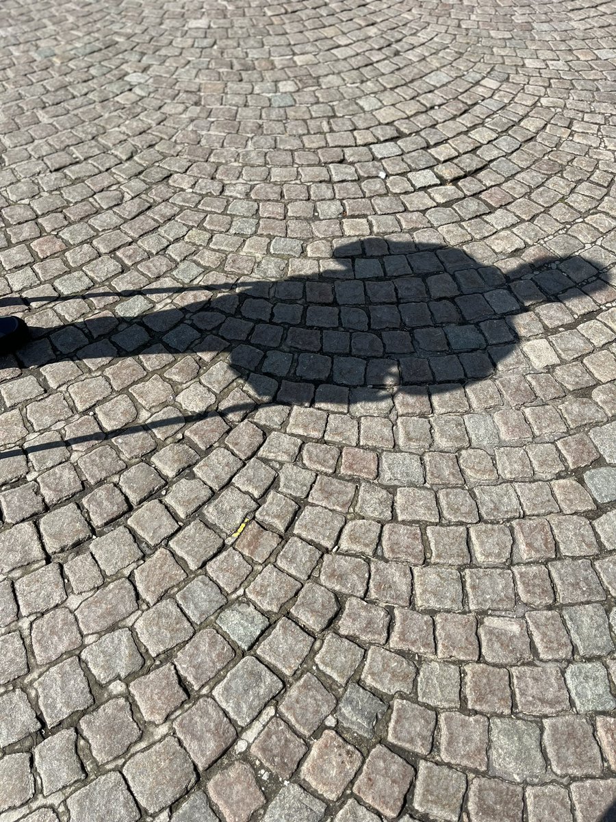 the_smooth66's tweet photo. Cobbles! https://t.co/CzitLGshfH