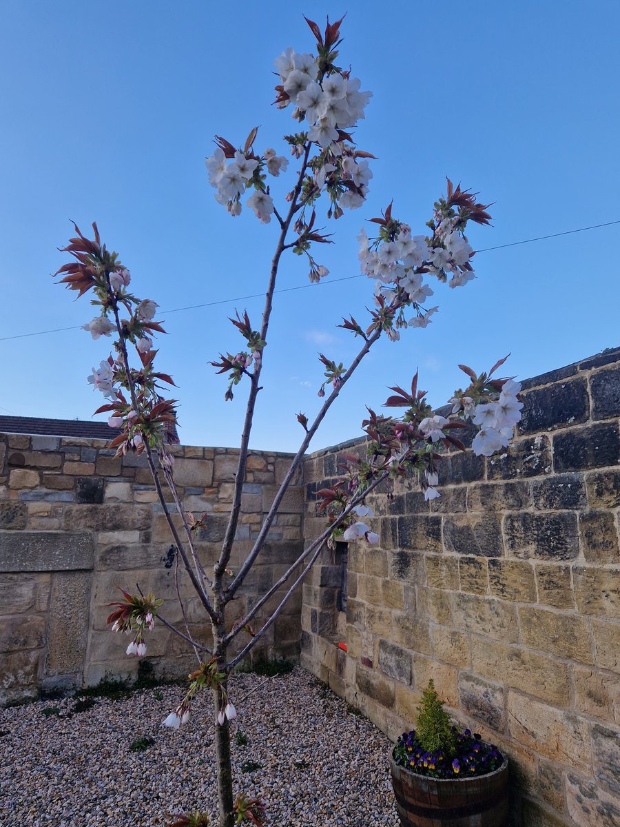 Alnwick Youth Hostel tweet media