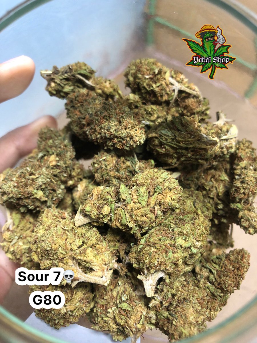 YokaiShop_'s tweet photo. ร้านเรามีหลายสายพันธุ์💜
#หางเสือ #เนื้อ #หางกระรอก #KDKT #cannabis #OG #Lean #og #กบินทร์บุรี #กัญชาog #กัญชาog #กัญชาราคาถูก #กัญชาราคาส่ง #กัญชาออแกนิค #กัญชาเสรี #ปราจีน304 #ปราจีน #ปราจีนบุรี #ปราจีนบุรี304 #ลีน #ลีนThc #ลีนนอก #ลีนแท้ #ลีนไทย https://t.co/STfUAaWywx