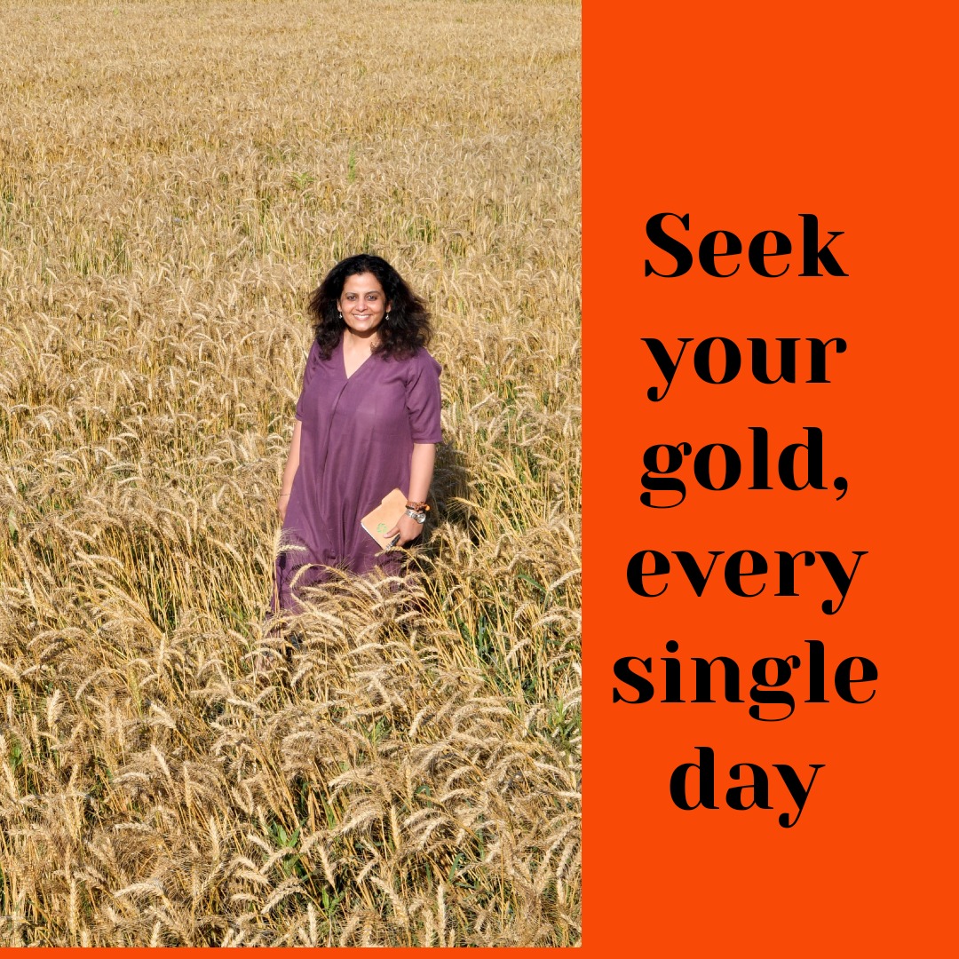 pujaawasthi's tweet image. Go where you find your gold. So what, if its just a field for most. #traveldiaries #wheat #fieldsofgold #fearwomen #harvest