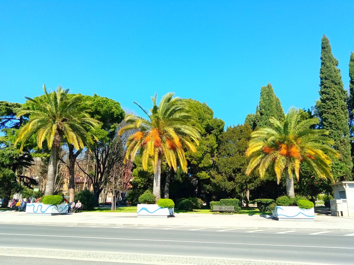 _andrej45's tweet photo. Vrijeme ugodno (za sada). ☀🌴
Ugodan vikend i vama. https://t.co/HFMrzmJ8gc