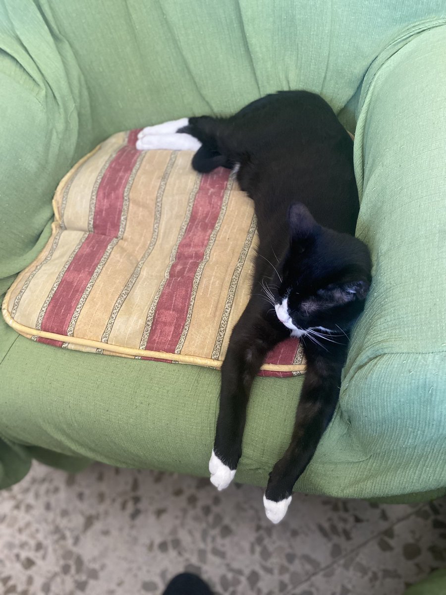 alejaandrash_'s tweet photo. Alguien está creciendo muy rápido 🥹 https://t.co/O8Z76y11Fs